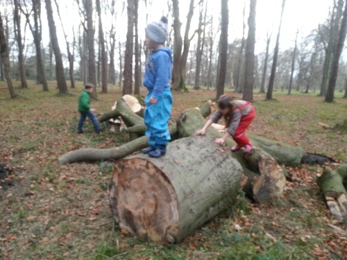 jolisby's profile picture. 