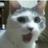 ArHokum's profile image