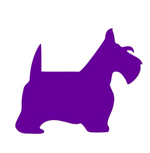 purple puppies purple events purpledogevents purple puppies purple events purpledogevents