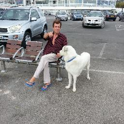 freddyhernault's profile picture. 