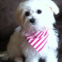 Greg Lloyd - @coachglloyd - Twitter