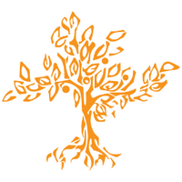Pitzer College (@pitzercollege) 's Twitter Profile