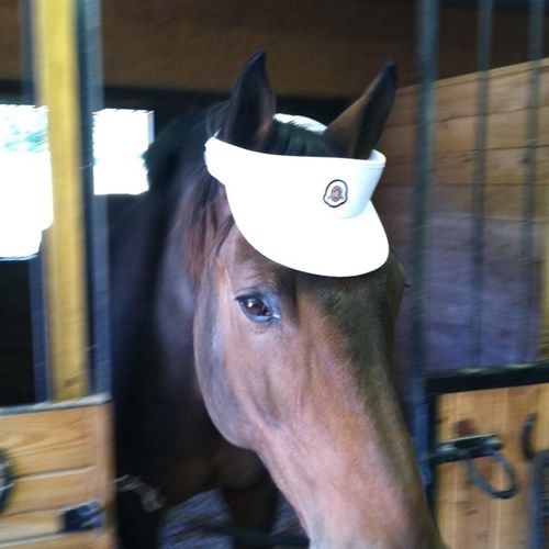 333sbs's profile picture. 