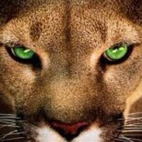 Scott Bless (@scottbless) 's Twitter Profile