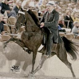 I can do all things thru Christ who strengthens me / Big boy toys / Walking Horses / Tennessee Vols  & Country music.