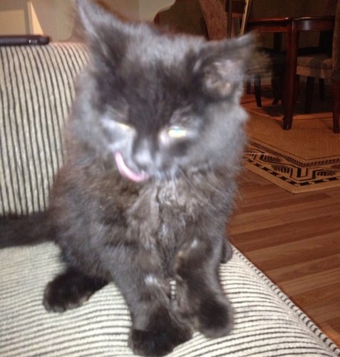 2loudmcleod's profile picture. 