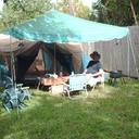 bill briggs - @swamplizard50 - Twitter