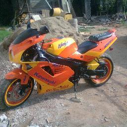 vividor de la vida ....y un gezzy boy..
