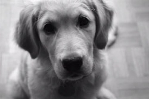 Meln3533's profile picture. 