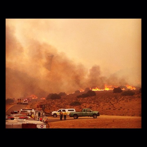 Or3osnM1lk's profile picture. 