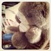 KNAO (@nao_k_1115) Twitter profile photo KNAO (@nao_k_1115) Twitter profile photo
