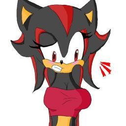 My best friend: @amythehedgie1, Favorite sonic couple: ShadAmy
