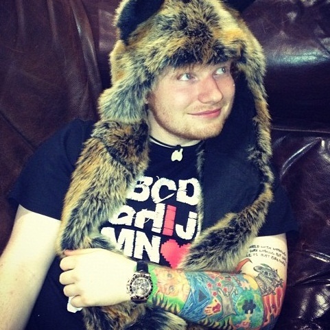 EdDiCapprio's profile picture. 