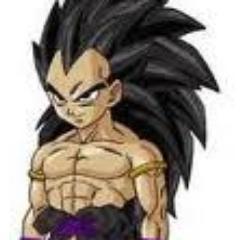 I am an Elite Saiyan. My Ally's are Saiyan Hero, and Saiyan Elite...
