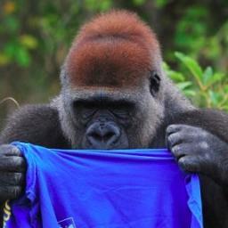 jaxosilo's profile picture. one at a time, just one at a time.