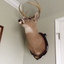 Alex Swaim - @Arod60000 - Twitter