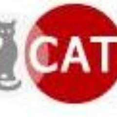 I'm Anne Rice from CAT Technology Ltd. CAT is an offshore software development company based in Hackensack, NJ, USA with development center in Hyderabad, INDIA