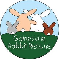 Gainesville Rabbit Rescue (@gvillerabbits) 's Twitter Profile