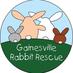 Gainesville Rabbit Rescue (@gvillerabbits) Twitter profile photo