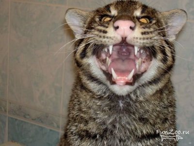 andreyr22's profile picture. 