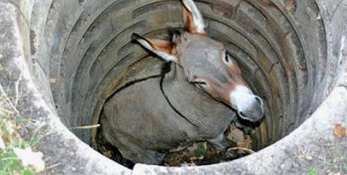 Quarterfront's profile picture. Time Magazines 2006 Person of the Year and 20XX Olympic Curling Hopeful. Member of The Sweeping Beauties 🥌