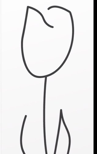 Dandelionspring Profile Picture