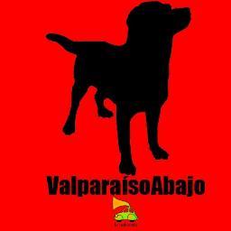 Programa de Música y expresión independiente, todos los sábados a las 20 hrs. por @LaRadioneta.