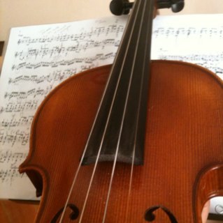 violin492's profile picture. 