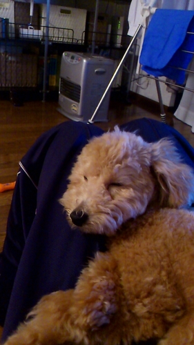 ZuKa1108's profile picture. 成蹊　経済学部　TRIAL　３男　キャップ　パッパ　イタリアン pizza　ワイン　RADWIMPS miwa