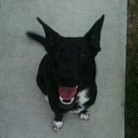 Mike Risk (@mchlrisk) 's Twitter Profile
