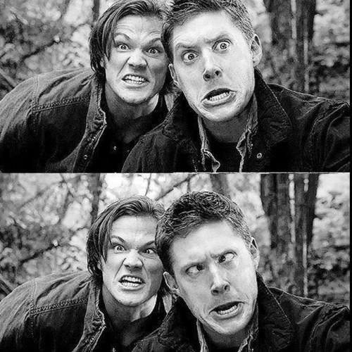 Obsessed with the one and only supernatural. One love for two young hunters, an old drunk and a fallen angel ❤
