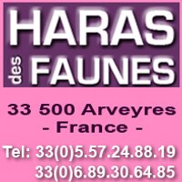 Haras des Faunes(@HarasdesFaunes) 's Twitter Profileg