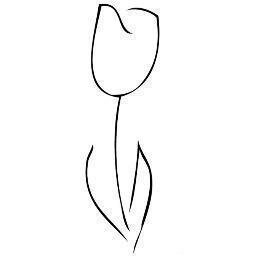 47Sydney's profile picture. mad follower of election 2016... and the shitshow it was!