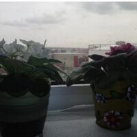 oznur yilmaz (@znrylmz35) 's Twitter Profile