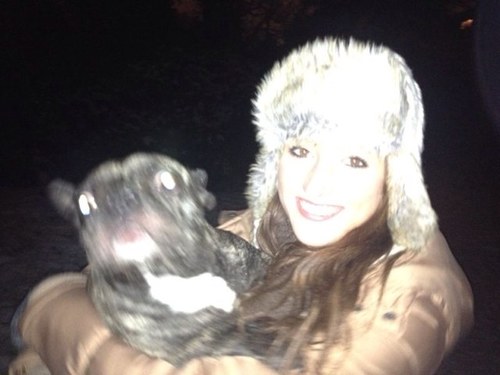 zoe_fransbull's profile picture. I'm a frenchbulldog and I come from the Netherland. And I love my life!