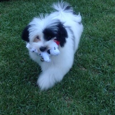 Profile Picture of Taylor Flanagan (@TaylorFlano) on Twitter