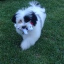 Taylor Flanagan - @TaylorFlano - Twitter