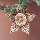 Alberto Andrade Ruiz - @FisioAlberto - Twitter