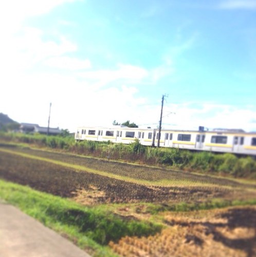 20↑ ROM専 百合好き　無言フォロー失礼します