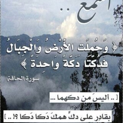 Moatn12345's profile picture. 