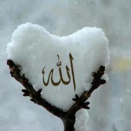 Allah's Servant ^^ Im new here =) Follow me & I'll follow you back .