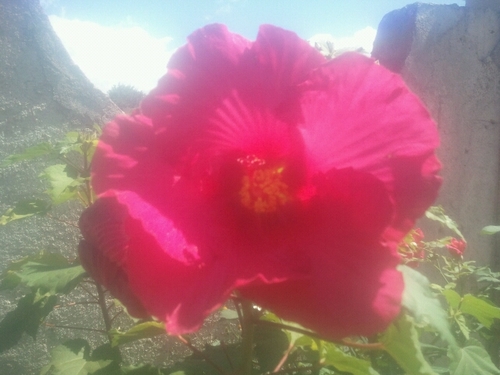 Angie30280582's profile picture. Bonita