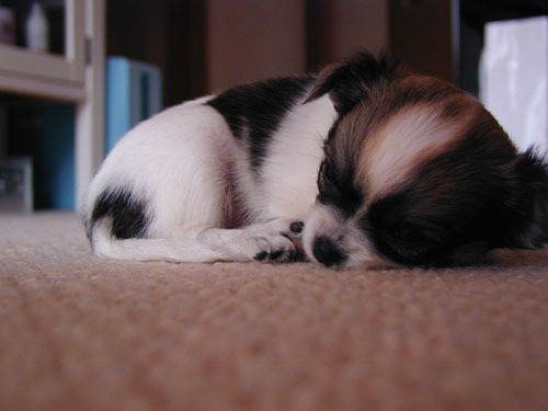 moyaryuro's profile picture. #そば  #映画 #technomusic #あまちゃん #立ち食いそば #tbsラジオ #KBCラジオ  #ラジオ #ラジオの友は真の友 #神田松之丞　#ソフトバンクホークス #野球 #ボクシング #アマチュアボクシング