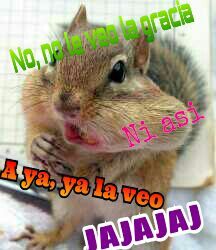 diariodescsp's profile picture. Este es un diario de @NoTe_Preocupes (#memoriasdesilvia) , @PrimeroAmigos (#maratondecelia) @_070054942116 (#showdesandra) y @mapatricia (#pensamientosdepatri)