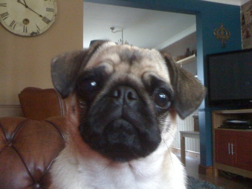 MacknightGary's profile picture. 