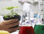 Nozioni e rimedi per mantenere il proprio benessere fornendo, oltre alle conoscenze di base, un’attenta selezione di rimedi naturali per ogni disturbo.