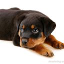 heder luis camilo ju - @hederluiscamil1 - Twitter