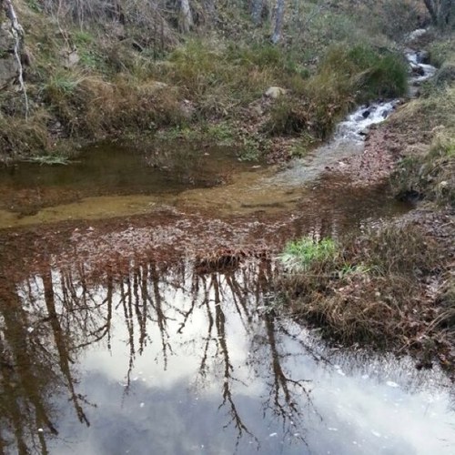 El valor de las cosas y lo que nos cuestan rara vez coinciden.
El agua es un claro ejemplo.