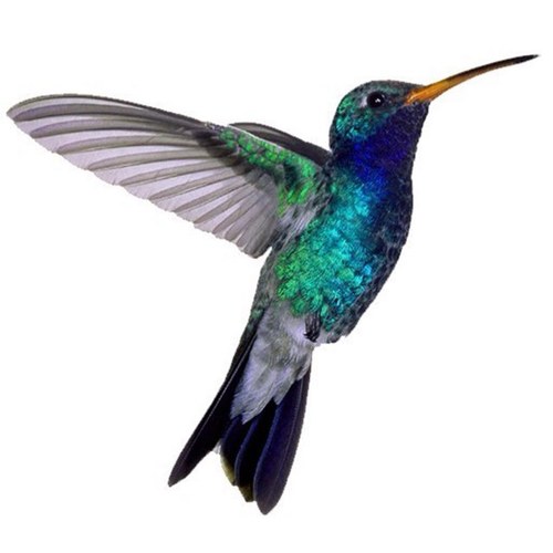 Libertenails's profile picture. Nail Solutions that come to you. Mid -South Down areas... Genuine Nail Harmony Fusion Acrylics and Gelish *long* lasting Gel LED cured manicures a speciality.