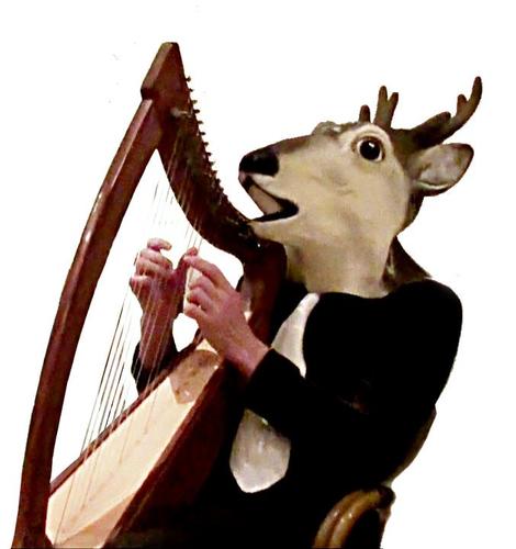 LesterRouge's profile picture. Video editor & musician